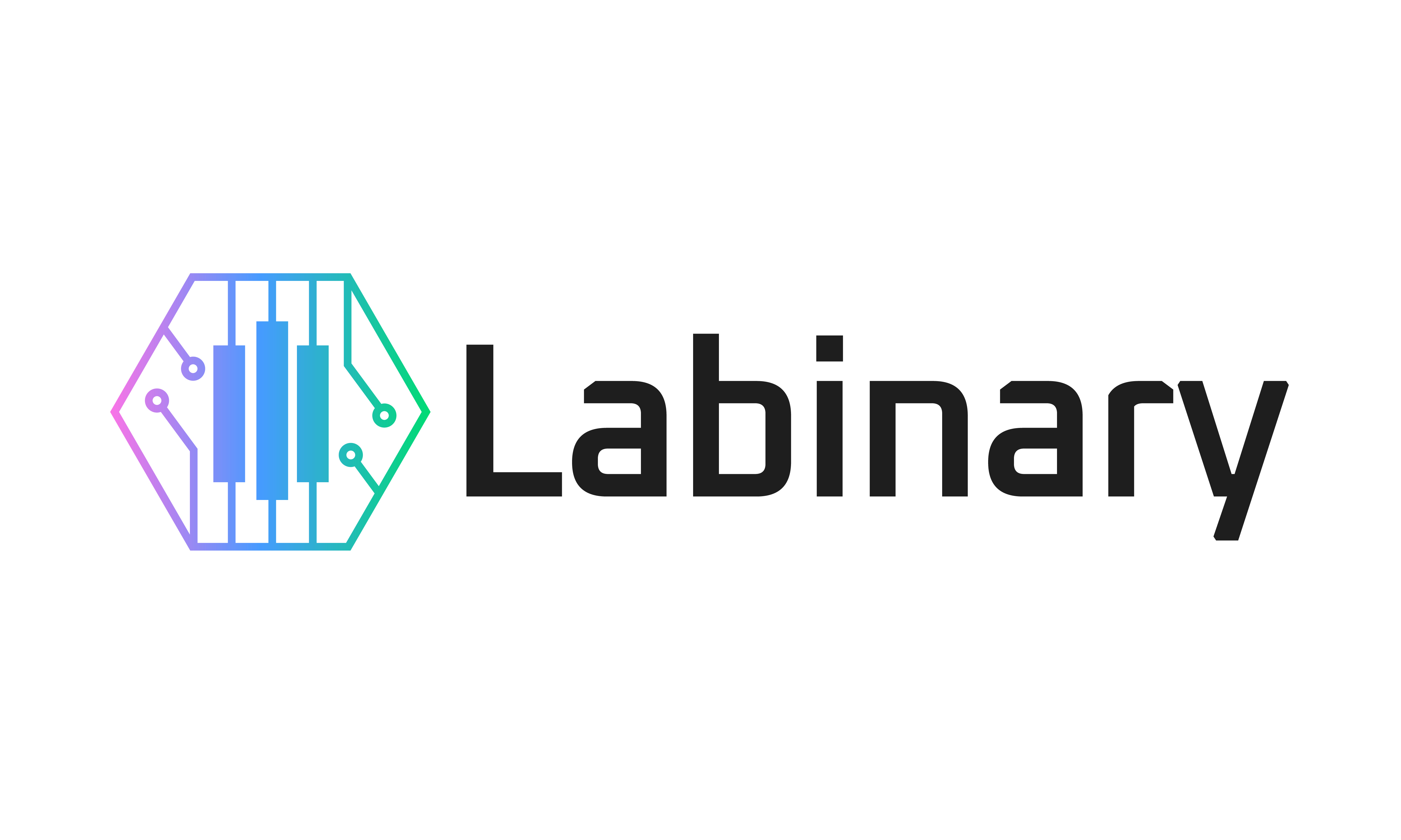 Labinary logo